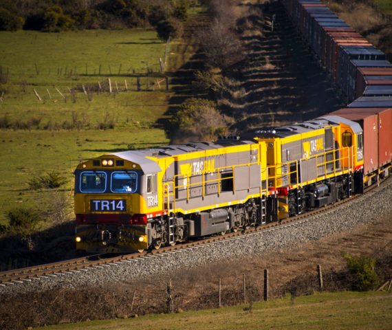 trnw0714-619 trnw0714-619