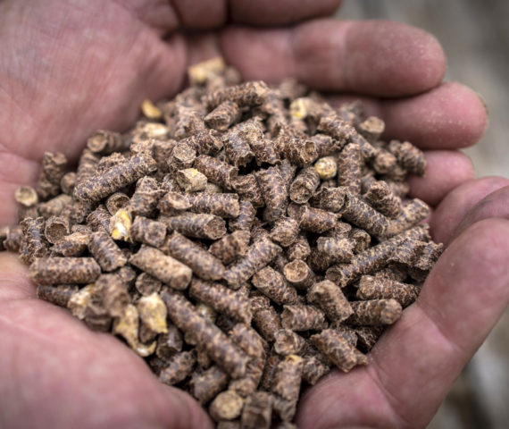 Image of woodfire pellets