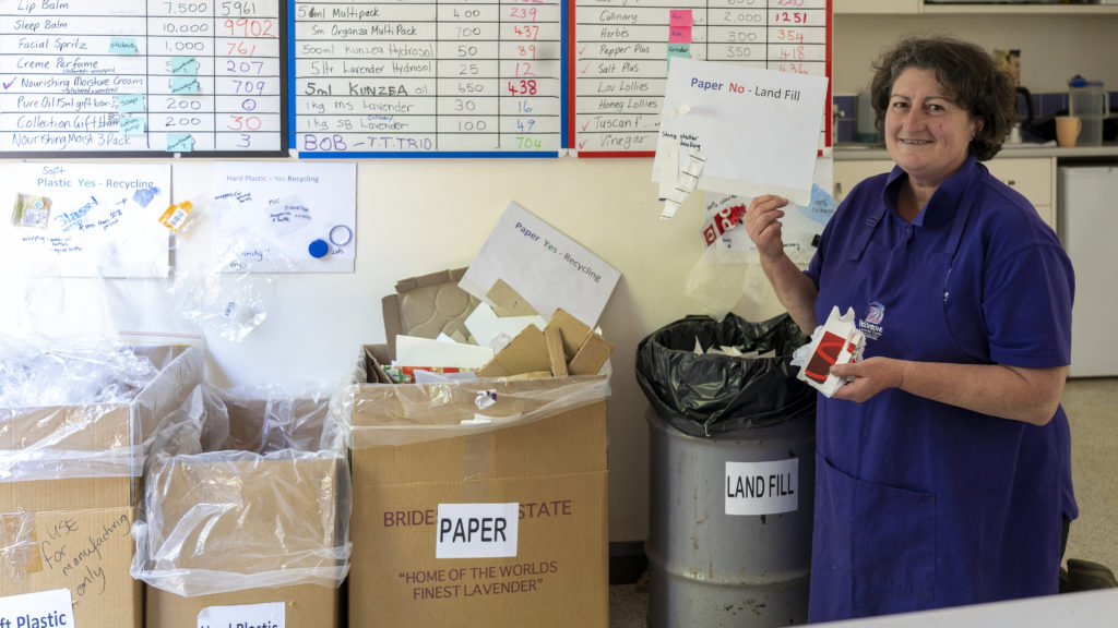 Image of employee at Bridestowe Lavender Estate sorting materials