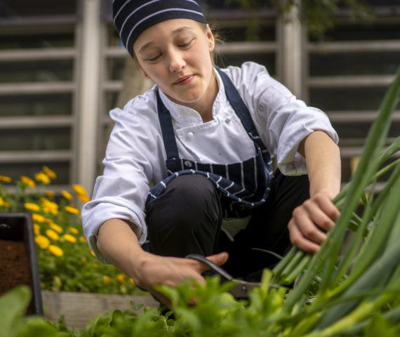 Image of trainee chef in kitchen garden
